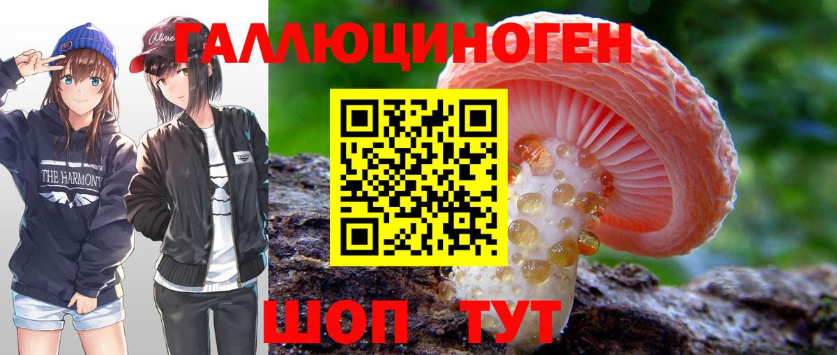 Псилоцибиновые грибы Cubensis Барабинск